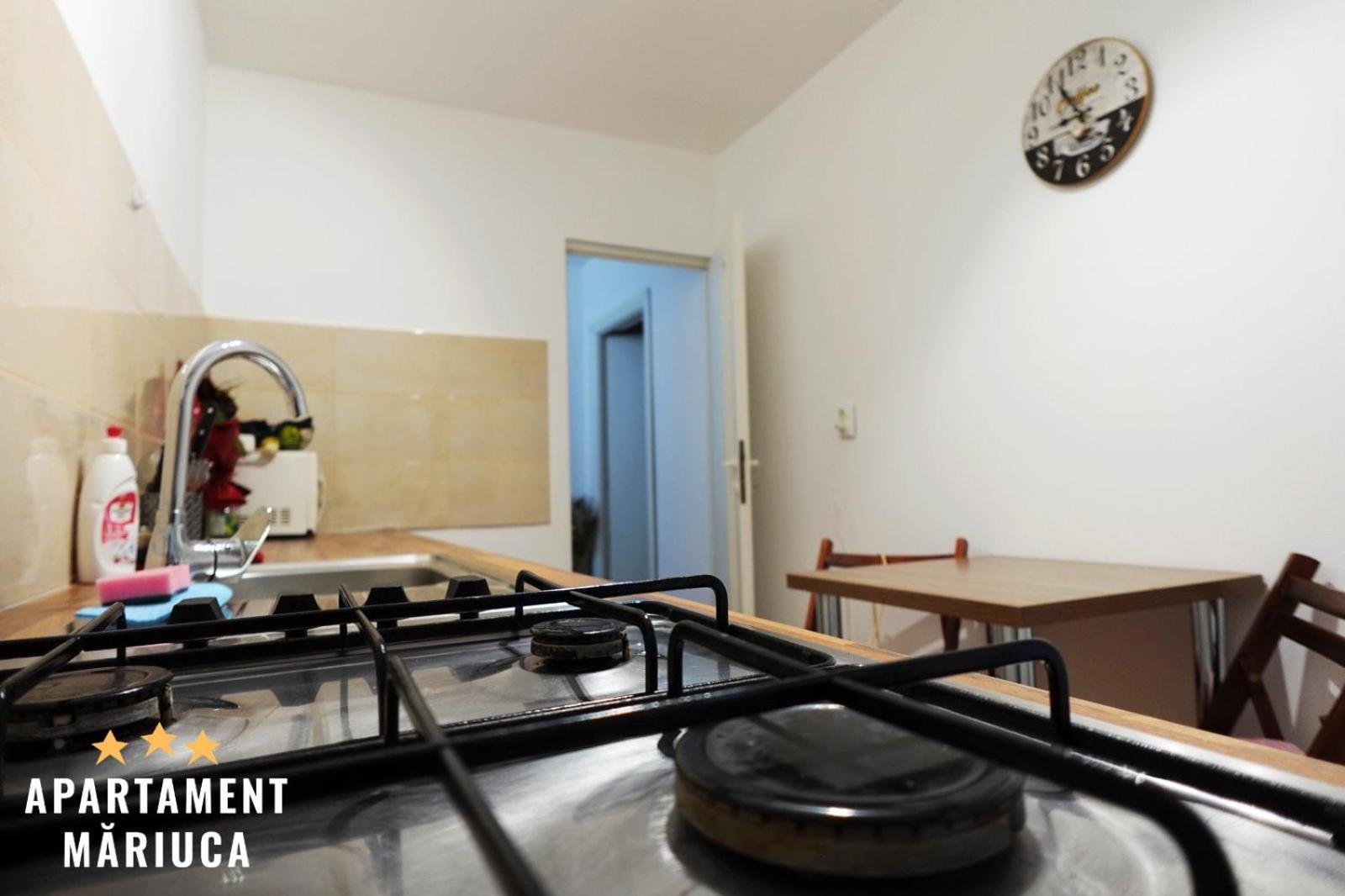 Mariuca Apartament Buşteni Eksteriør billede